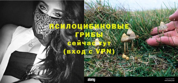 прущие крисы Балабаново