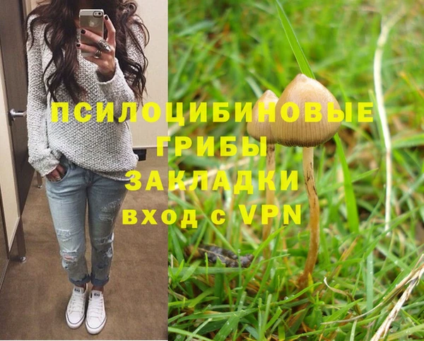 ALPHA PVP Белокуриха