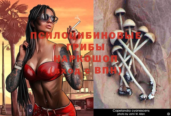 ALPHA PVP Белокуриха