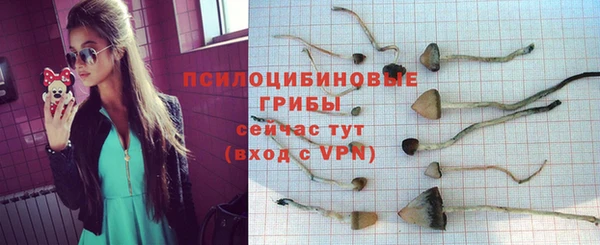 МДМА Беломорск