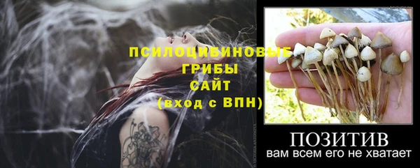 ешки Белоозёрский
