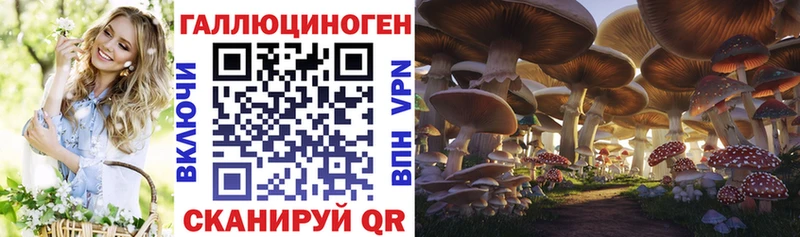 как найти закладки  Маркс  Галлюциногенные грибы MAGIC MUSHROOMS 